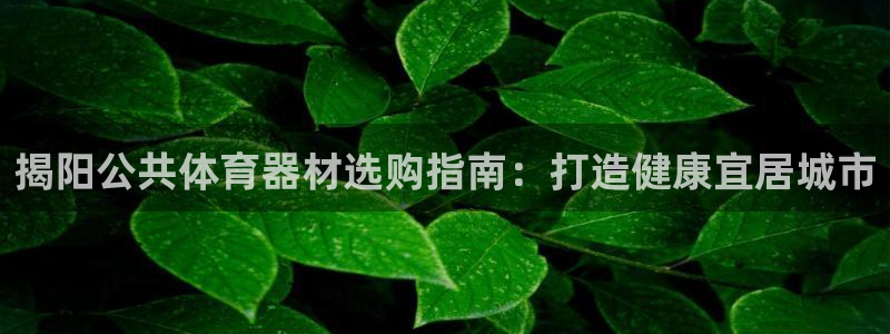 富联官方网站入口下载：揭阳公共体育器材选购指南：打造