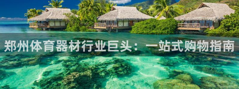 富联官方网站入口下载手机版：郑州体育器材行业巨头：一