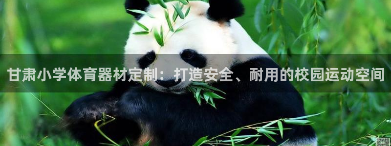 富联官方网站入口下载：甘肃小学体育器材定制：打造安全