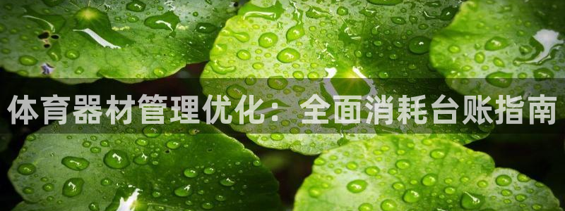 深圳富联智能制造产业创新中心：体育器材管理优化：全面