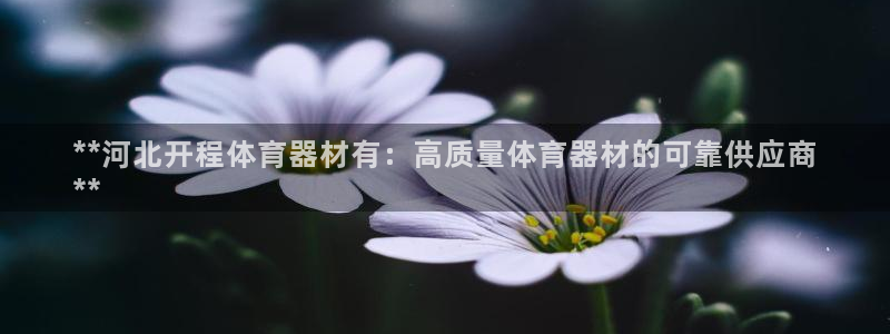 富联平台万 3.7.OO.7.3.5：**河北开程体