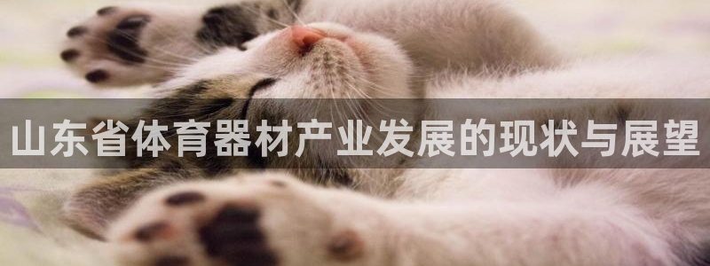 富联平台注册登录不上：山东省体育器材产业发展的现状与