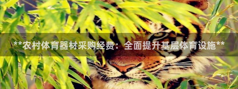 富联官网注册不了账号吗：**农村体育器材采购经费：全