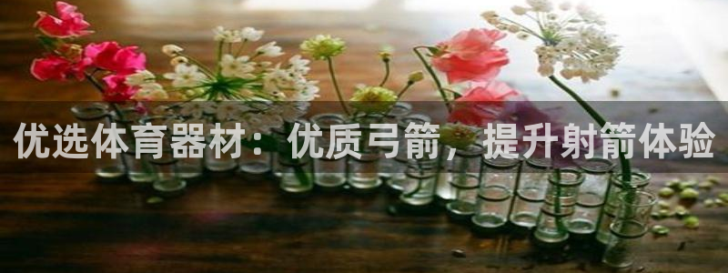 富联娱乐官方网站入口网址：优选体育器材：优质弓箭，提