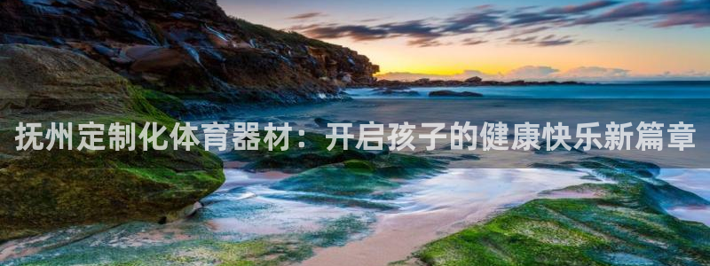 富联官网注册流程视频：抚州定制化体育器材：开启孩子的
