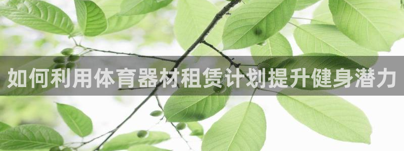 富联娱乐老板是哪里人：如何利用体育器材租赁计划提升健