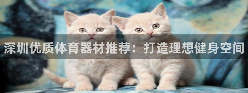 富联集团做什么的呀：深圳优质体育器材推荐：打造理想健