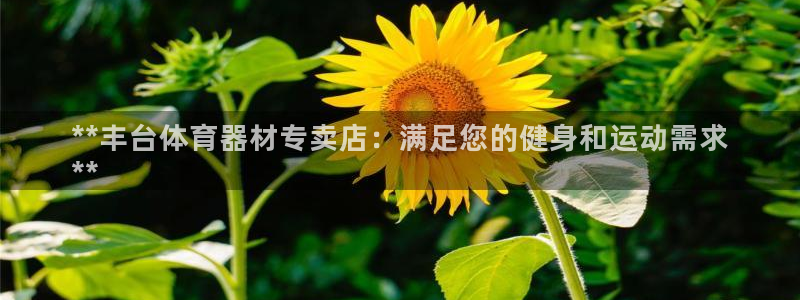 富联娱乐官方网站入口网址：**丰台体育器材专卖店：满