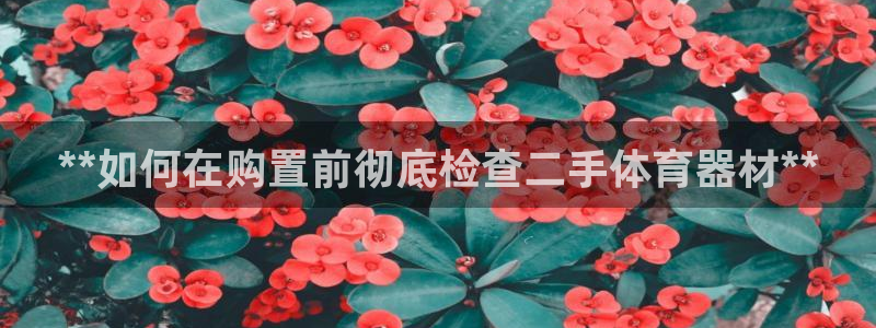 富联官网授权店铺查询：**如何在购置前彻底检查二手体