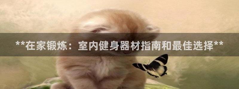 富联集团最新消息今天：**在家锻炼：室内健身器材指南