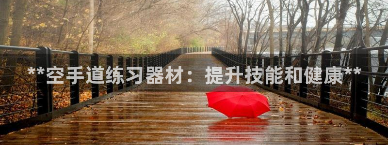 富联平台登陆：**空手道练习器材：提升技能和健康**
