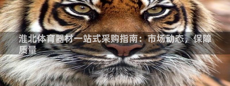 富联娱乐登录注册不了：淮北体育器材一站式采购指南：市