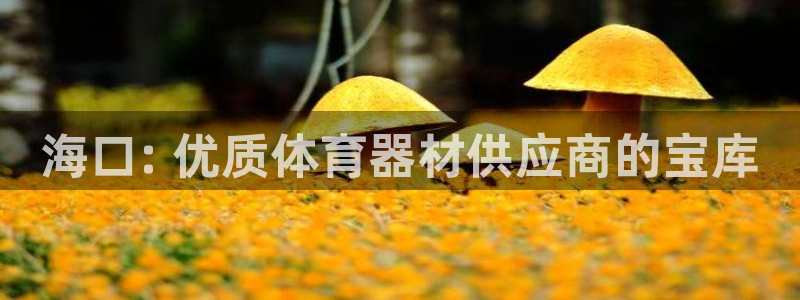 富联娱乐马 5O6917 娱乐：海口: 优质体育器材