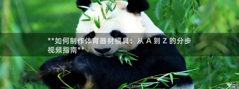 富联申购什么时间上市：**如何制作体育器材模具：从 