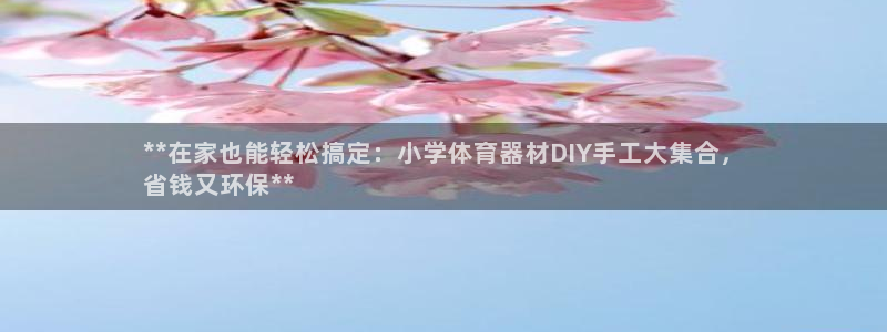 富联平台安装：**在家也能轻松搞定：小学体育器材DI
