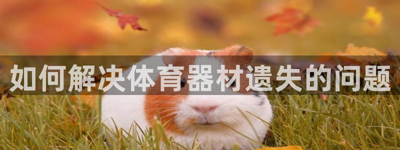 富联娱乐护7O777：如何解决体育器材遗失的问题