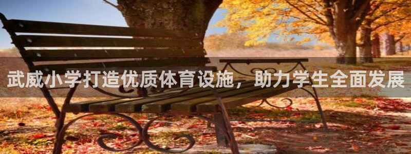 富联食品加工厂：武威小学打造优质体育设施，助力学生全