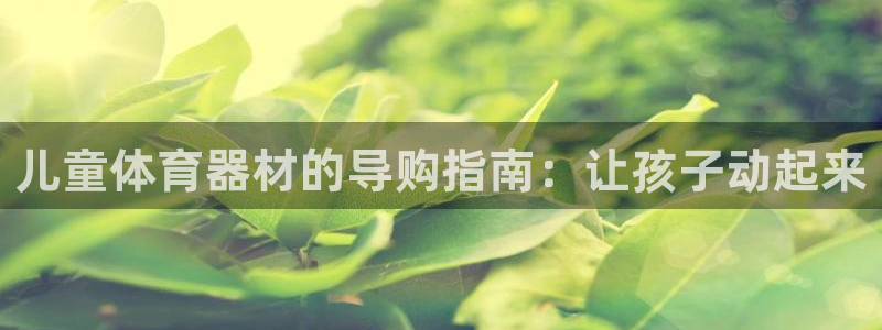 富联娱乐平台能挣到钱吗安全吗：儿童体育器材的导购指南