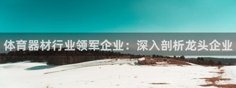 富联娱乐测速地址在哪：体育器材行业领军企业：深入剖析