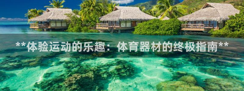 富联平台招商：**体验运动的乐趣：体育器材的终极指南