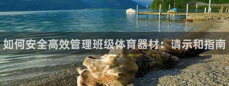 富联劳务：如何安全高效管理班级体育器材：请示和指南