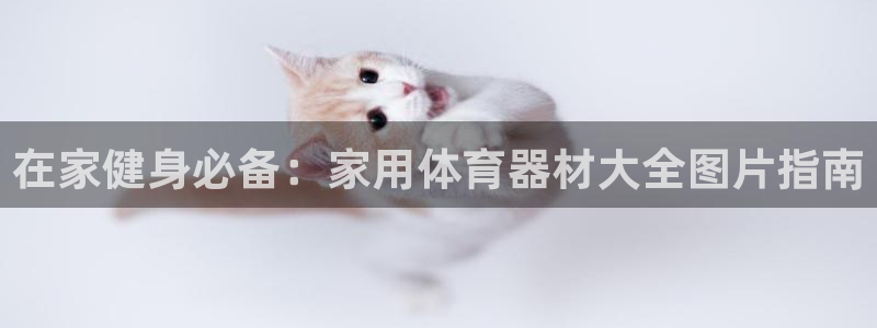 富联娱乐总代理：在家健身必备：家用体育器材大全图片指