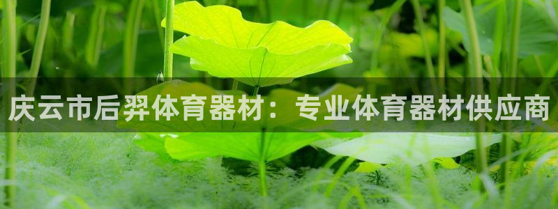 富联娱乐官方网站入口下载：庆云市后羿体育器材：专业体
