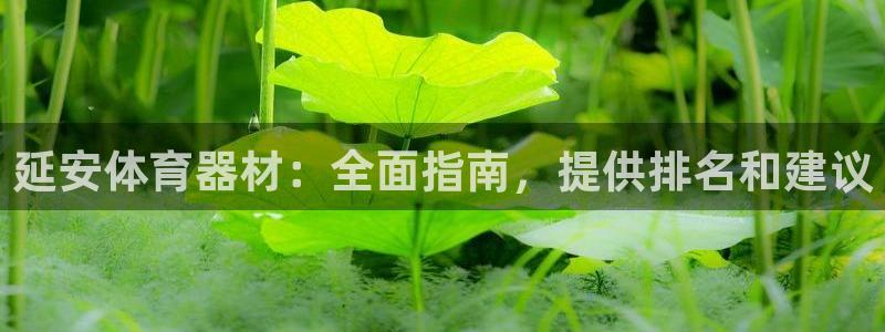 富联娱乐平台怎么样可靠吗：延安体育器材：全面指南，提