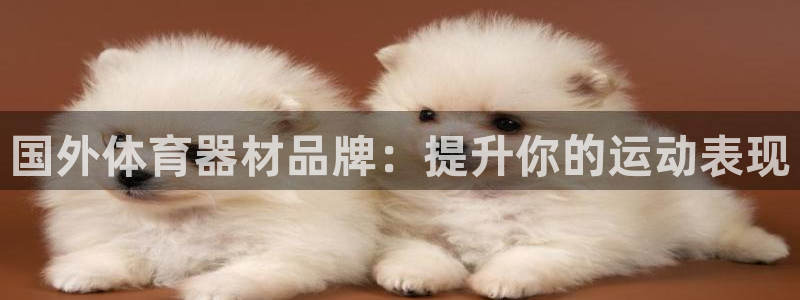 富联平台代理注册流程：国外体育器材品牌：提升你的运动