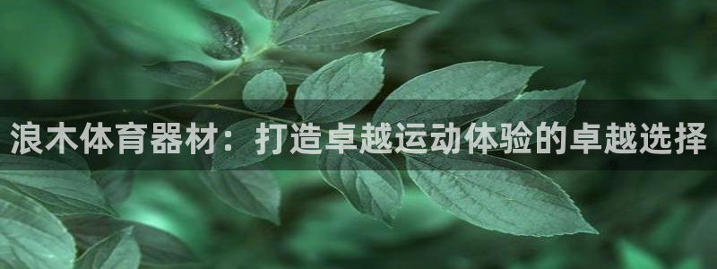 富联娱乐平台开户要钱吗安全吗：浪木体育器材：打造卓越