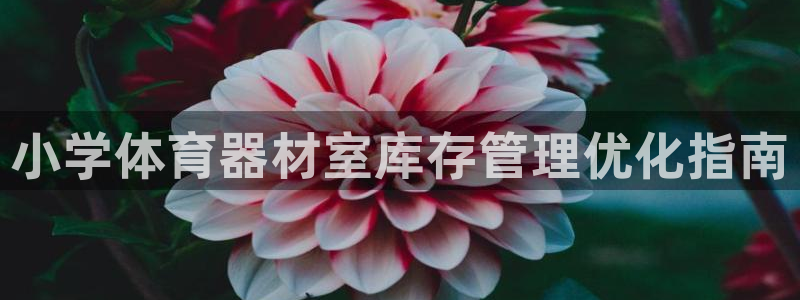 富联平台总代理是谁：小学体育器材室库存管理优化指南