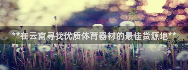 富联娱乐玩法机制：**在云南寻找优质体育器材的最佳货