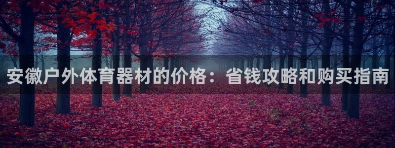 富联平台荐 585341：安徽户外体育器材的价格：省