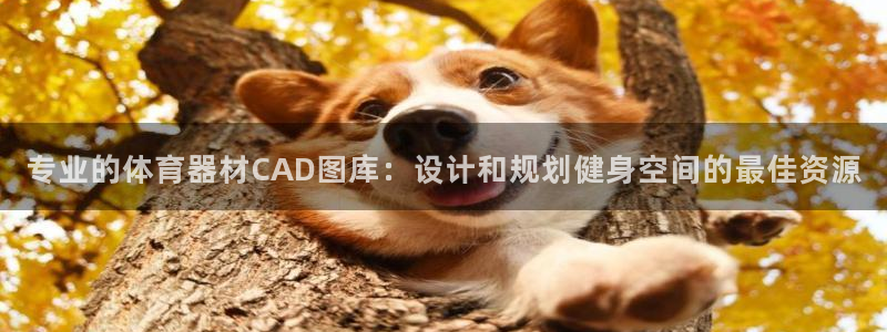 富联官方网站下载安装