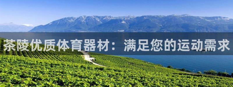 富联娱乐登录地址在哪里：茶陵优质体育器材：满足您的运