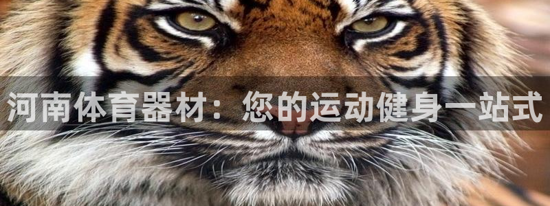 富联平台马 411O31 富联：河南体育器材：您的运