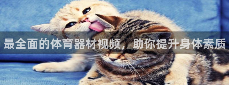 富联平台主管：最全面的体育器材视频，助你提升身体素质
