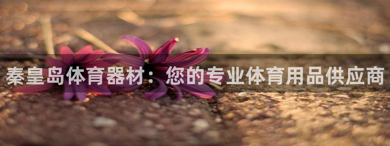 富联平台总代理是谁：秦皇岛体育器材：您的专业体育用品