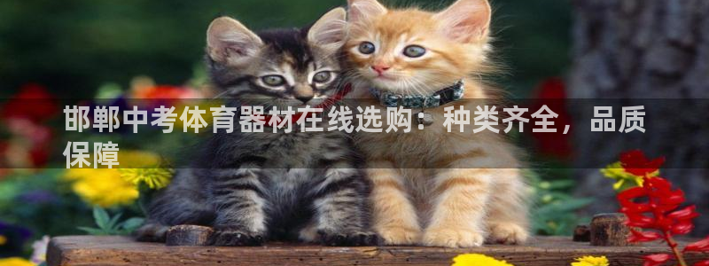 富联娱乐在线注册链接是什么软件：邯郸中考体育器材在线