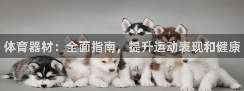 富联平台挂机赚钱：体育器材：全面指南，提升运动表现和