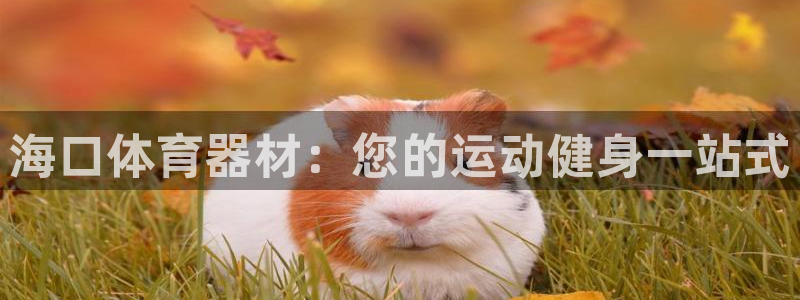 富联娱乐怎么样知乎：海口体育器材：您的运动健身一站式