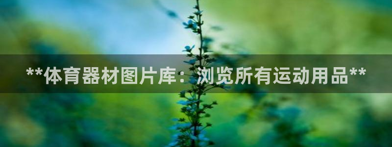 富联公寓：**体育器材图片库：浏览所有运动用品**
