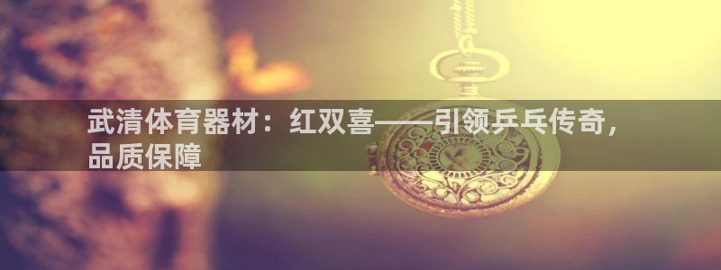 富联官方网站下载app：武清体育器材：红双喜——引领