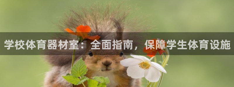富联是什么股票板块：学校体育器材室：全面指南，保障学