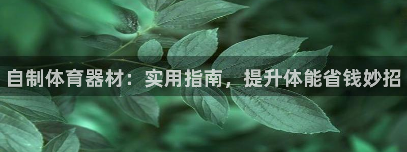 富联平台是什么：自制体育器材：实用指南，提升体能省钱