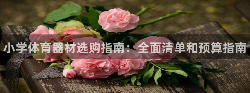 富联商厦：小学体育器材选购指南：全面清单和预算指南