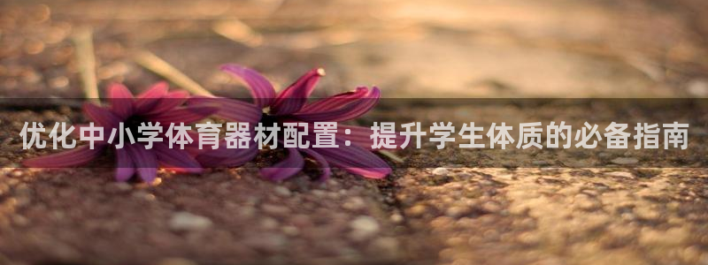 富联平台安装视频教程：优化中小学体育器材配置：提升学