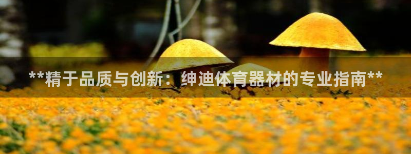 富联官网代理系列产品：**精于品质与创新：绅迪体育器