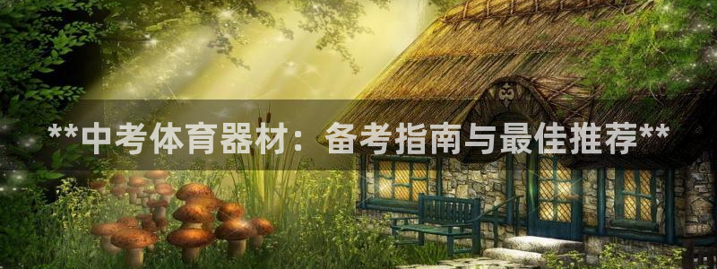 富联科技上市了吗：**中考体育器材：备考指南与最佳推
