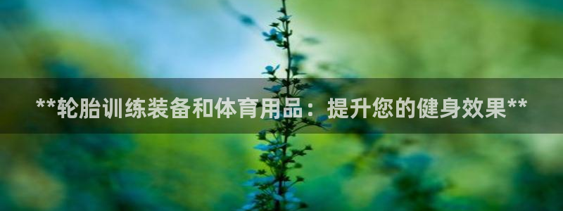 富联平台用户登陆不上：**轮胎训练装备和体育用品：提